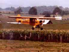 Tate Mauzy's Papier Cub landing at Williamsburg, WV c1976